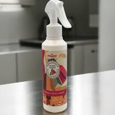 Ambientador Spray Duty Fashion shop